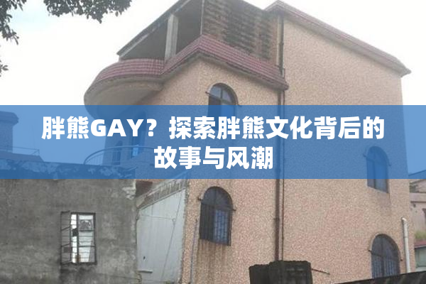 胖熊GAY？探索胖熊文化背后的故事与风潮