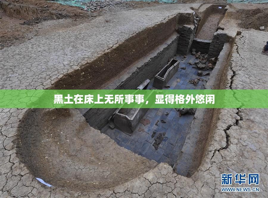 黑土在床上无所事事，显得格外悠闲