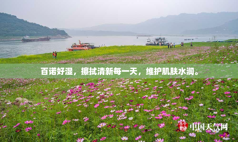 百诺好湿，擦拭清新每一天，维护肌肤水润。