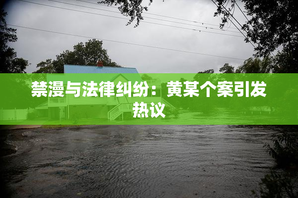 禁漫与法律纠纷：黄某个案引发热议