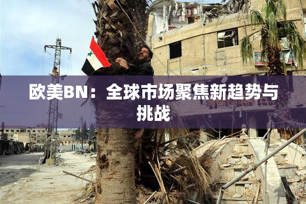欧美BN：全球市场聚焦新趋势与挑战
