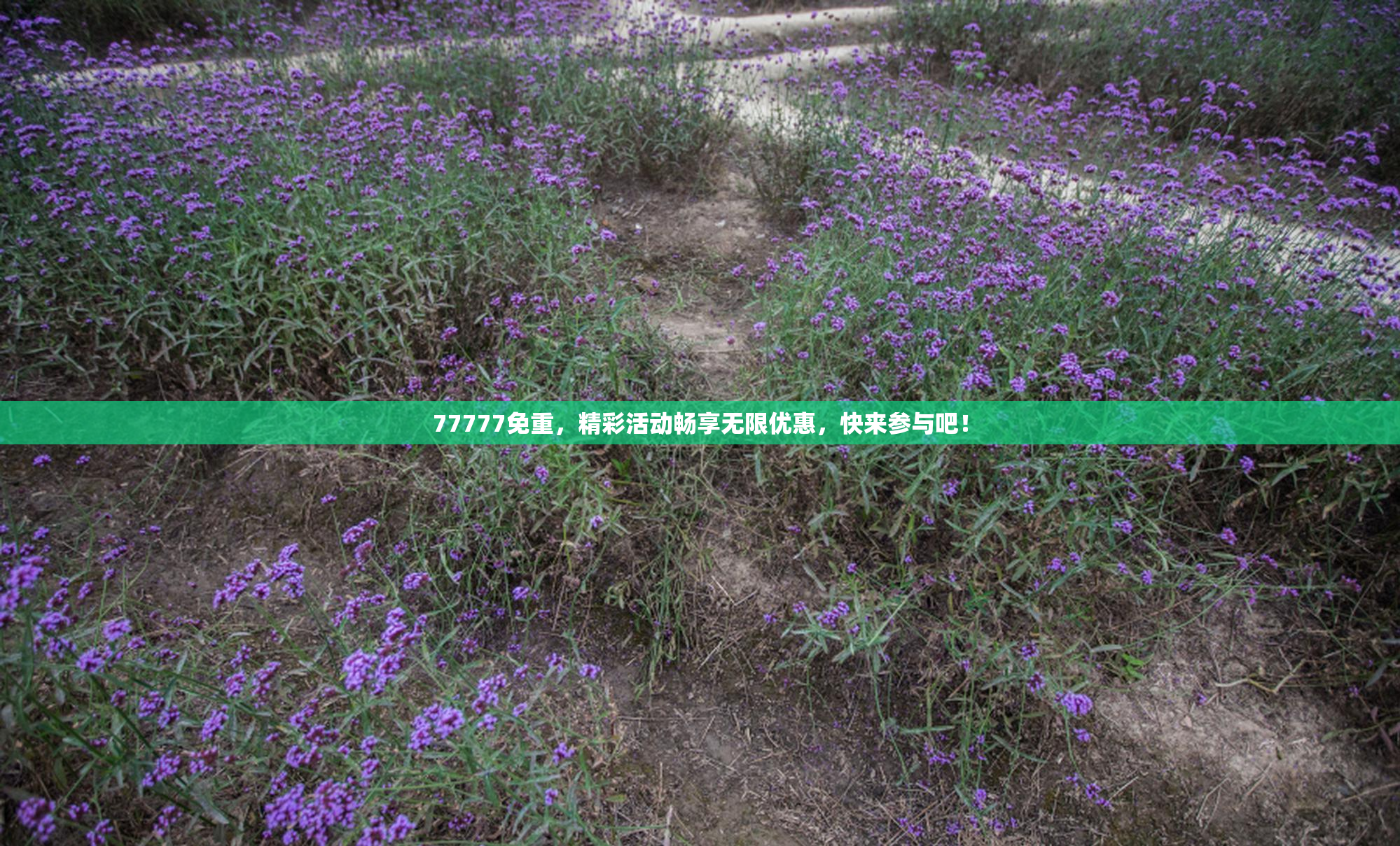 77777免重，精彩活动畅享无限优惠，快来参与吧！