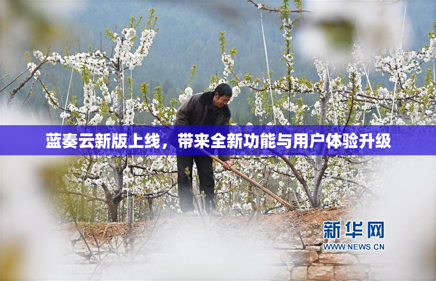 蓝奏云新版上线，带来全新功能与用户体验升级