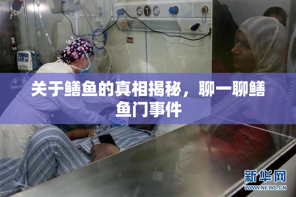关于鳝鱼的真相揭秘，聊一聊鳝鱼门事件
