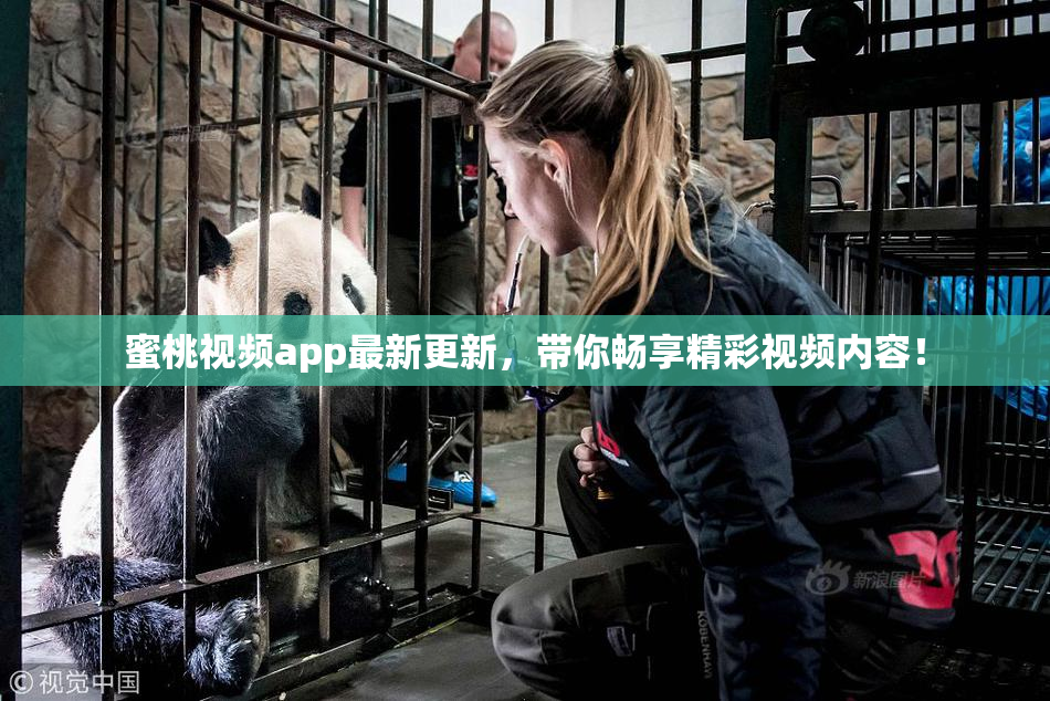 蜜桃视频app最新更新，带你畅享精彩视频内容！
