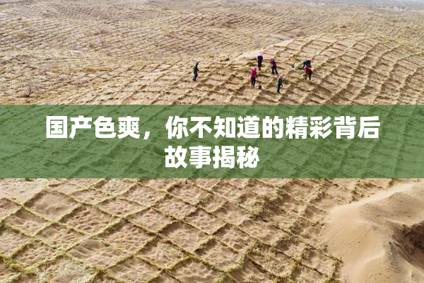 国产色爽，你不知道的精彩背后故事揭秘