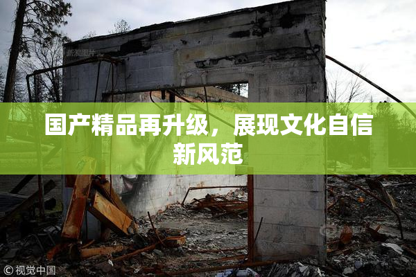 国产精品再升级，展现文化自信新风范