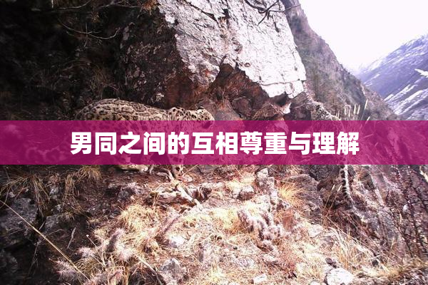 男同之间的互相尊重与理解