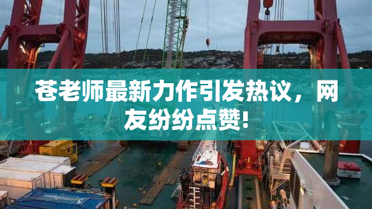 苍老师最新力作引发热议，网友纷纷点赞!