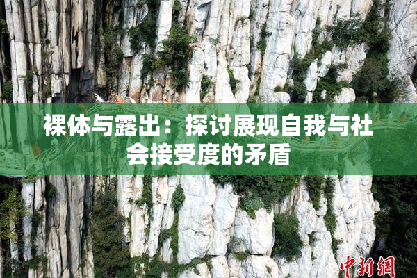 裸体与露出：探讨展现自我与社会接受度的矛盾