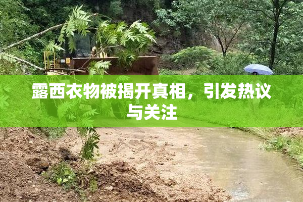 露西衣物被揭开真相，引发热议与关注