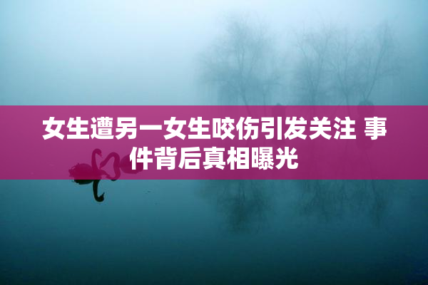 女生遭另一女生咬伤引发关注 事件背后真相曝光