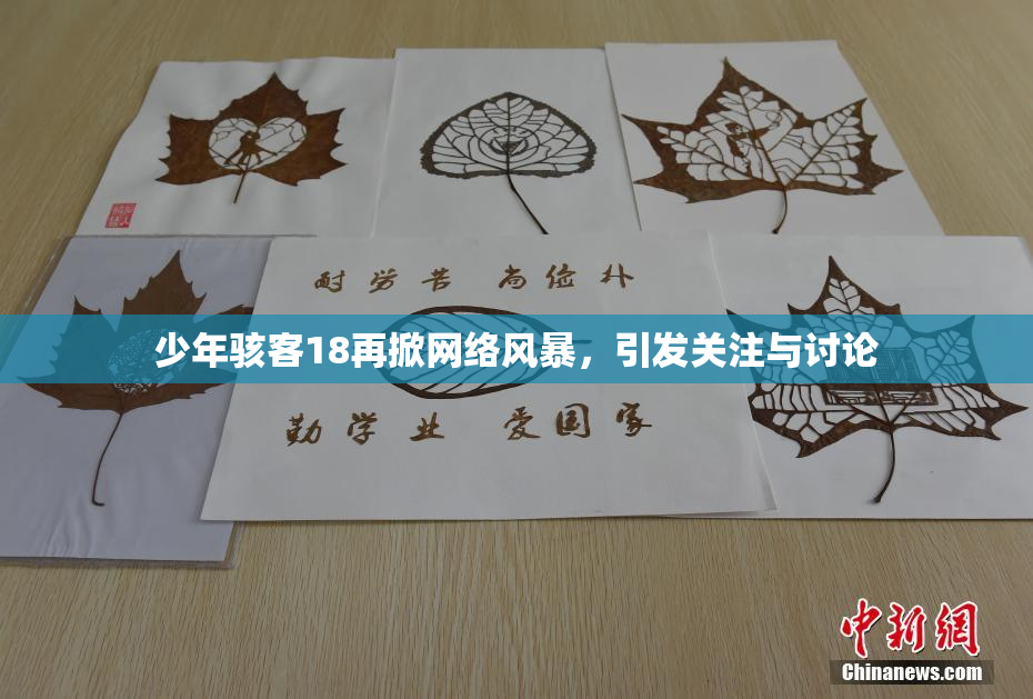 少年骇客18再掀网络风暴，引发关注与讨论