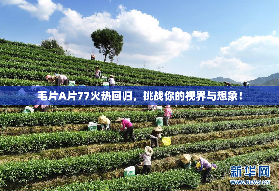 毛片A片77火热回归，挑战你的视界与想象！