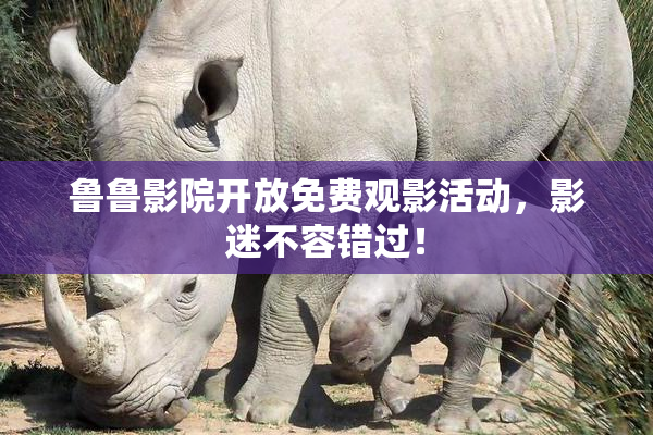 鲁鲁影院开放免费观影活动，影迷不容错过！