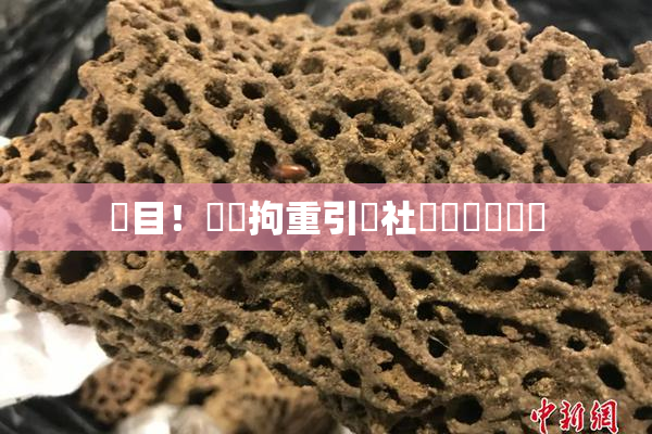 矚目！緊縛拘重引發社會熱議與討論