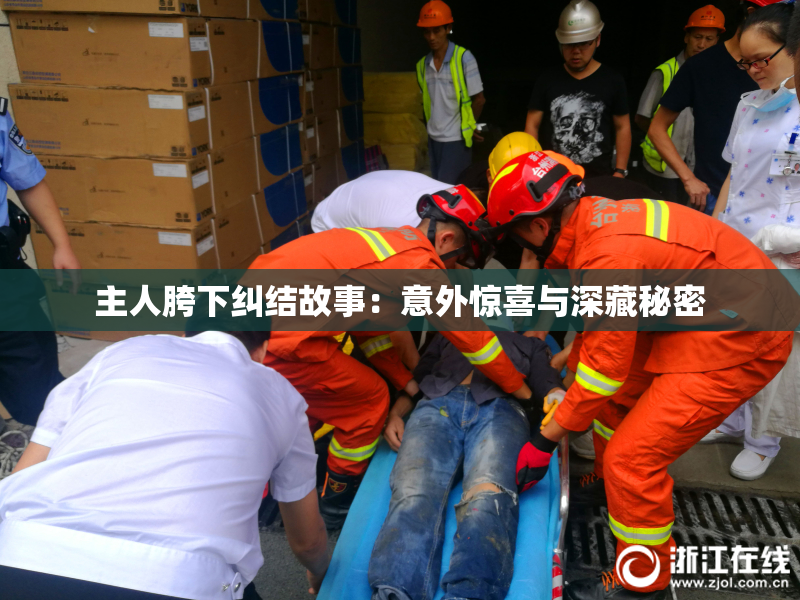 主人胯下纠结故事：意外惊喜与深藏秘密