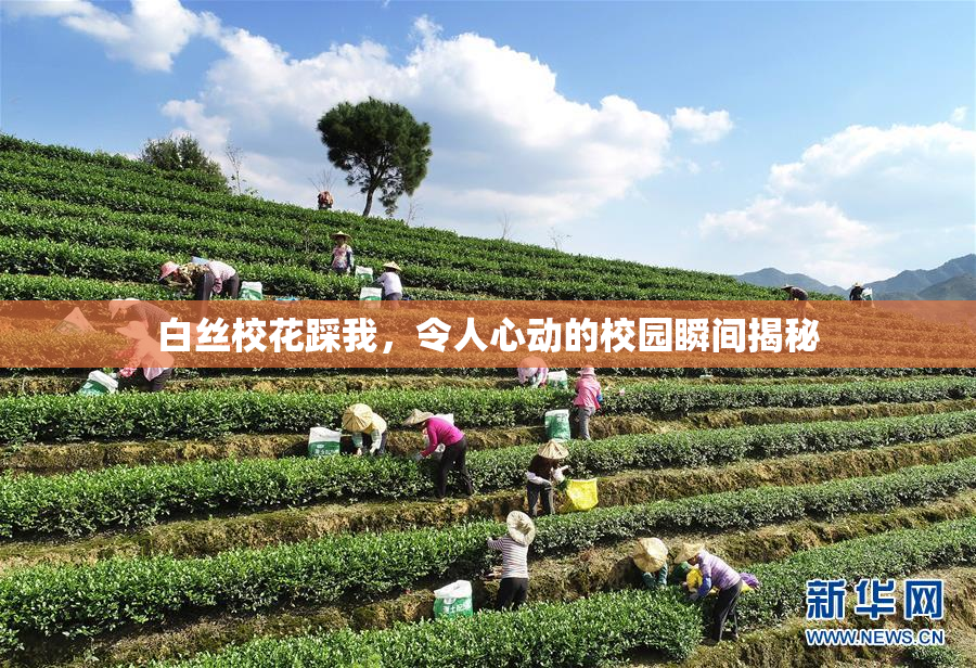 白丝校花踩我，令人心动的校园瞬间揭秘