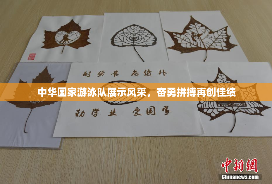 中华国家游泳队展示风采，奋勇拼搏再创佳绩