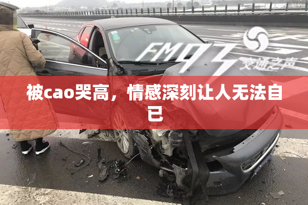 被cao哭高，情感深刻让人无法自已