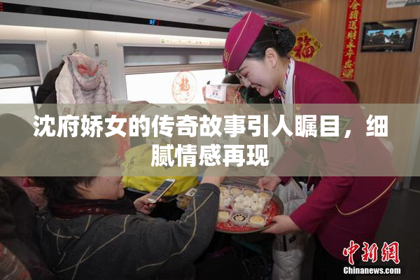 沈府娇女的传奇故事引人瞩目，细腻情感再现