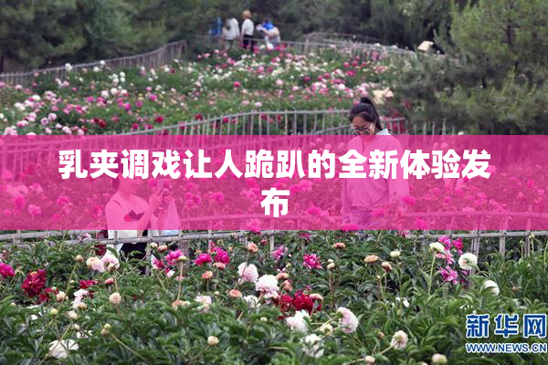 乳夹调戏让人跪趴的全新体验发布