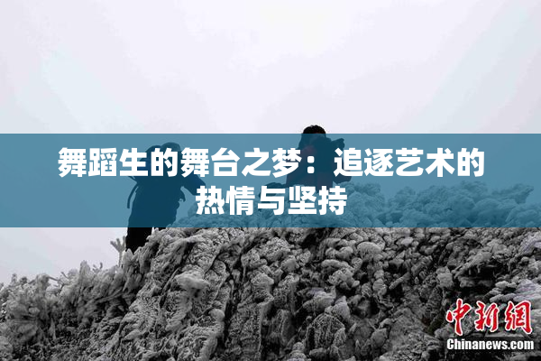 舞蹈生的舞台之梦：追逐艺术的热情与坚持