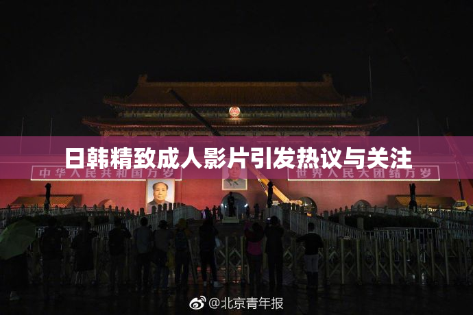 日韩精致成人影片引发热议与关注
