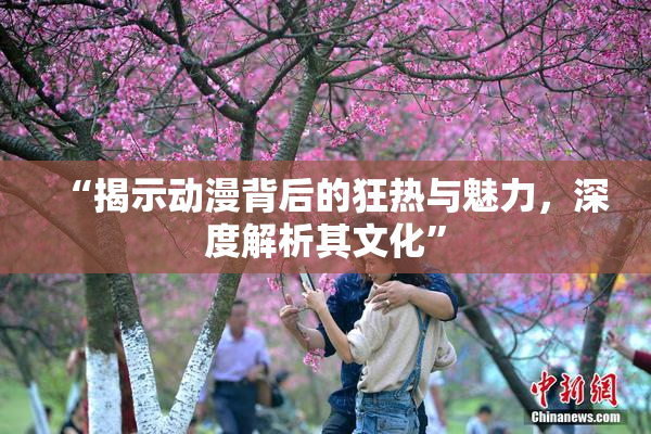 “揭示动漫背后的狂热与魅力，深度解析其文化”