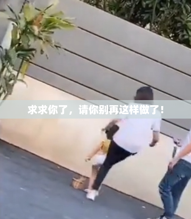 求求你了，请你别再这样做了！