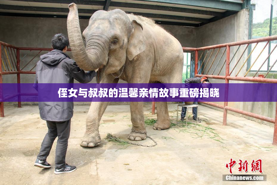 侄女与叔叔的温馨亲情故事重磅揭晓