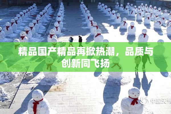 精品国产精品再掀热潮，品质与创新同飞扬