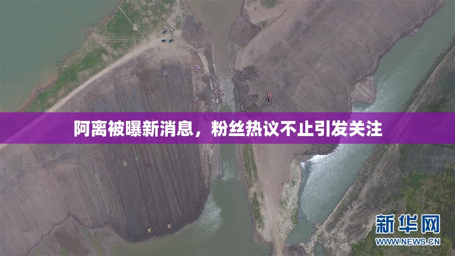 阿离被曝新消息，粉丝热议不止引发关注
