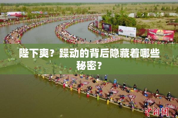 陛下爽？躁动的背后隐藏着哪些秘密？