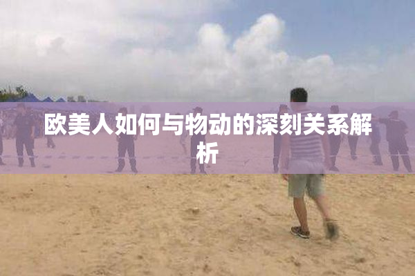 欧美人如何与物动的深刻关系解析