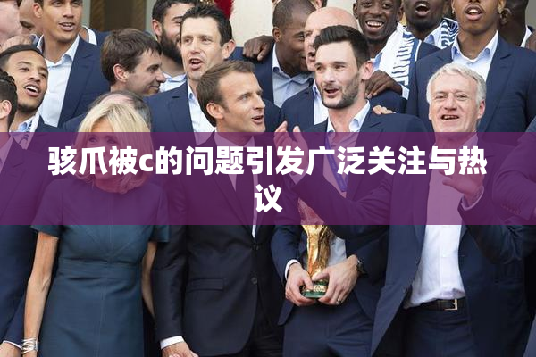 骇爪被c的问题引发广泛关注与热议