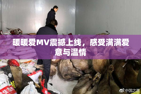 暖暖爱MV震撼上线，感受满满爱意与温情