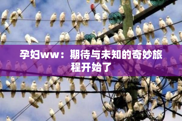孕妇ww：期待与未知的奇妙旅程开始了