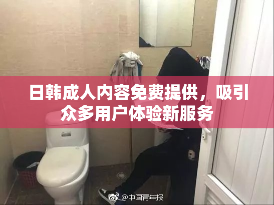日韩成人内容免费提供，吸引众多用户体验新服务