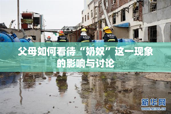 父母如何看待“奶奴”这一现象的影响与讨论