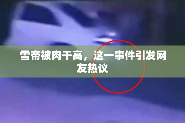 雪帝被肉干高，这一事件引发网友热议