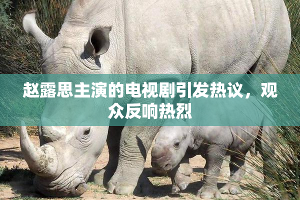赵露思主演的电视剧引发热议，观众反响热烈