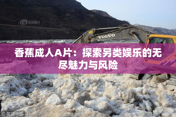 香蕉成人A片：探索另类娱乐的无尽魅力与风险