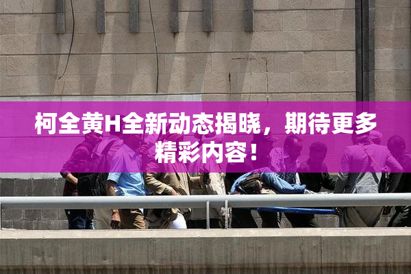 柯全黄H全新动态揭晓，期待更多精彩内容！