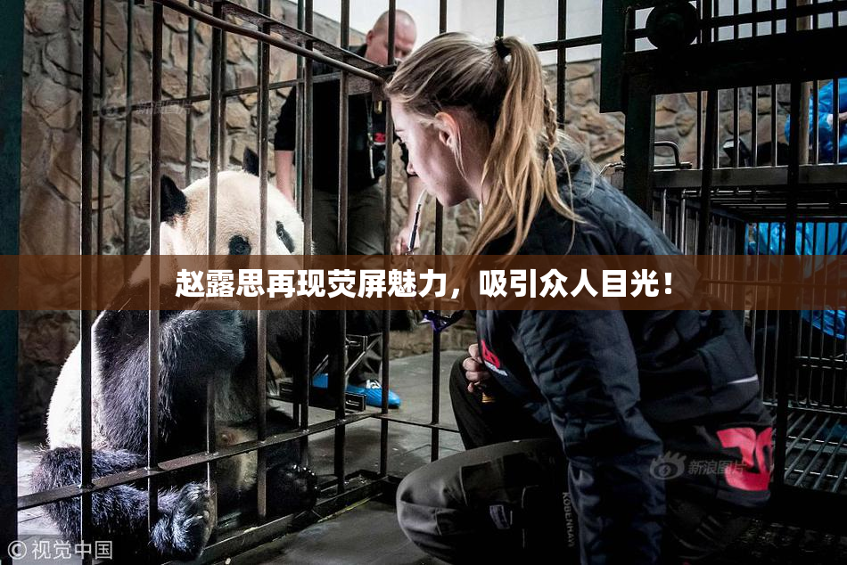 赵露思再现荧屏魅力，吸引众人目光！