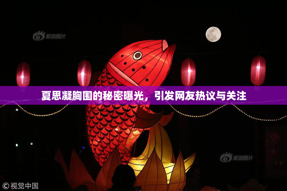 夏思凝胸围的秘密曝光，引发网友热议与关注
