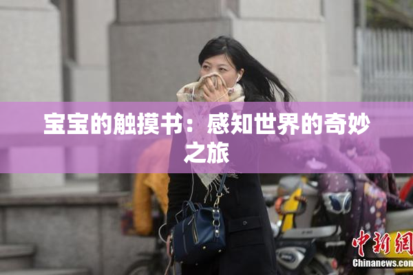 宝宝的触摸书：感知世界的奇妙之旅