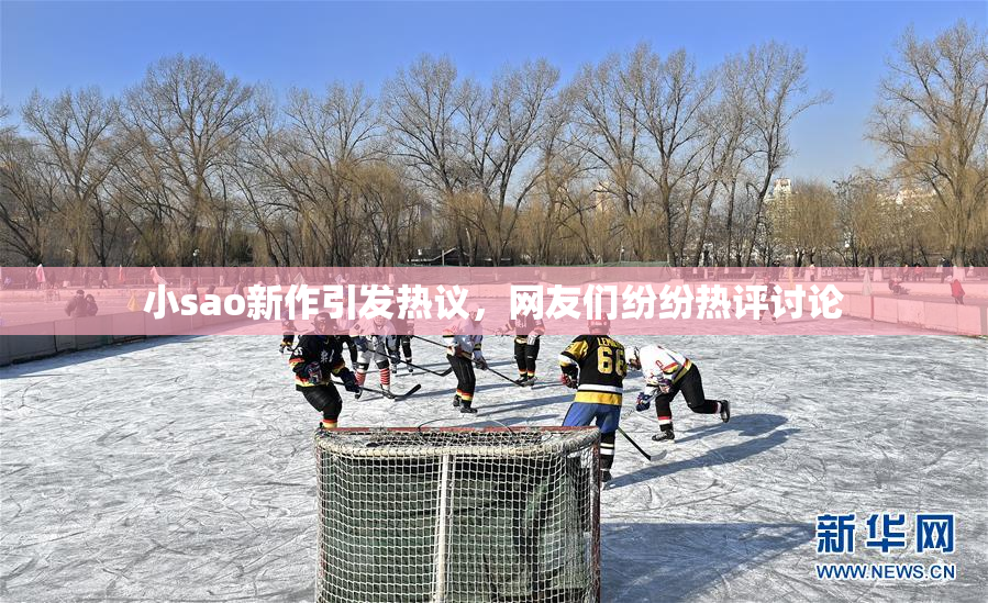 小sao新作引发热议，网友们纷纷热评讨论