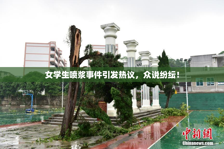 女学生喷浆事件引发热议，众说纷纭！