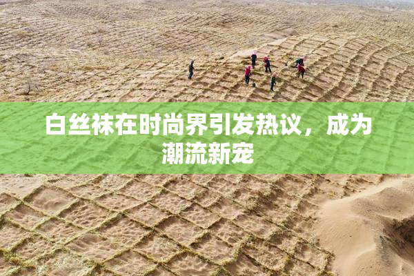 白丝袜在时尚界引发热议，成为潮流新宠